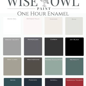 Wise Owl One Hour Enamel Paint - Quart