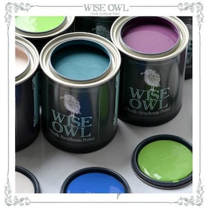 May include: A collection of Wise Owl Chalk Synthesis Paint in various colors, including teal, green, purple, and white. The paint cans are labeled with the Wise Owl logo and the text "Chalk Synthesis Paint".
