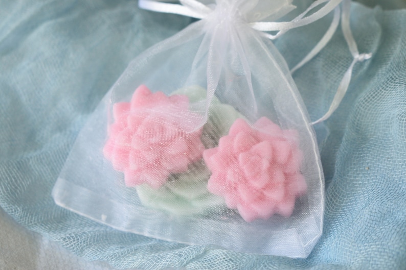 Succulent Soap Gift Shea Butter Soap Succulent Wedding Favors Baby Shower Soap Favors Pink and Mint Baby Shower Soap Gift Bag