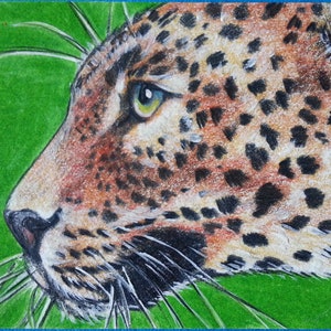May include: A detailed colored pencil drawing of a leopard's head in profile. The artwork features the leopard's distinctive spotted coat in shades of brown and black, with a green background. The leopard's eye is a striking green.