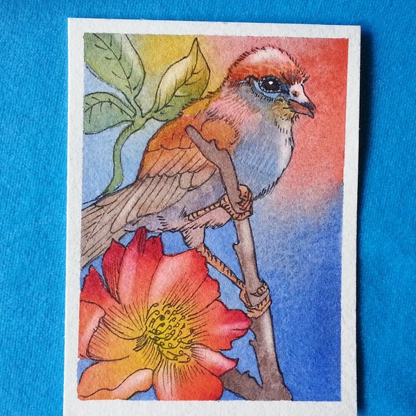 Original ACEO, one-of-a-kind, hand-painted, miniature of bird at sunset, blooming wild rose, Ellen Morrow, watercolor, Arts and Crafts style