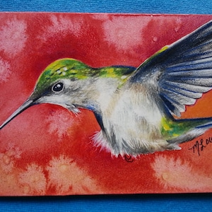ACEO originale, pezzo unico, miniatura dipinta a mano di un colibrì in volo di Melody Lea Lamb, acquerello e matita colorata, affascinante