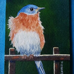 Original ACEO, único, pintado à mão, miniatura de pássaro azul na cerca, Ginette Dignard, aquarela, charmoso