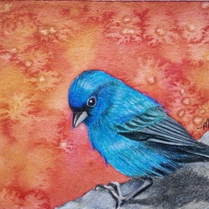 ACEO originale, pezzo unico, dipinto a mano, miniatura di un uccello che svolazza al sole di Melody Lea Lamb, acquerello e matita colorata, affascinante