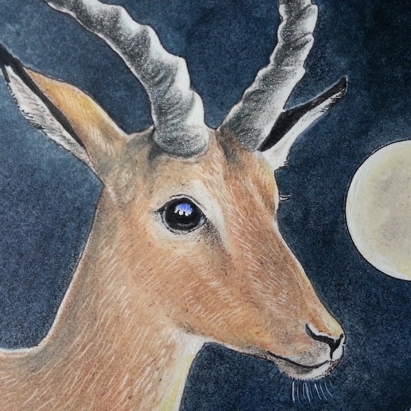 ACEO original, unique en son genre, peint à la main, miniature, impala africain, pleine lune, Melody Lea Lamb, encre, crayon de couleur, charmant