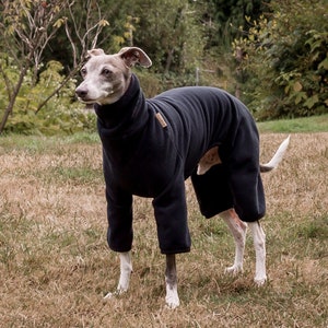 Greyhound gear for sale clearance