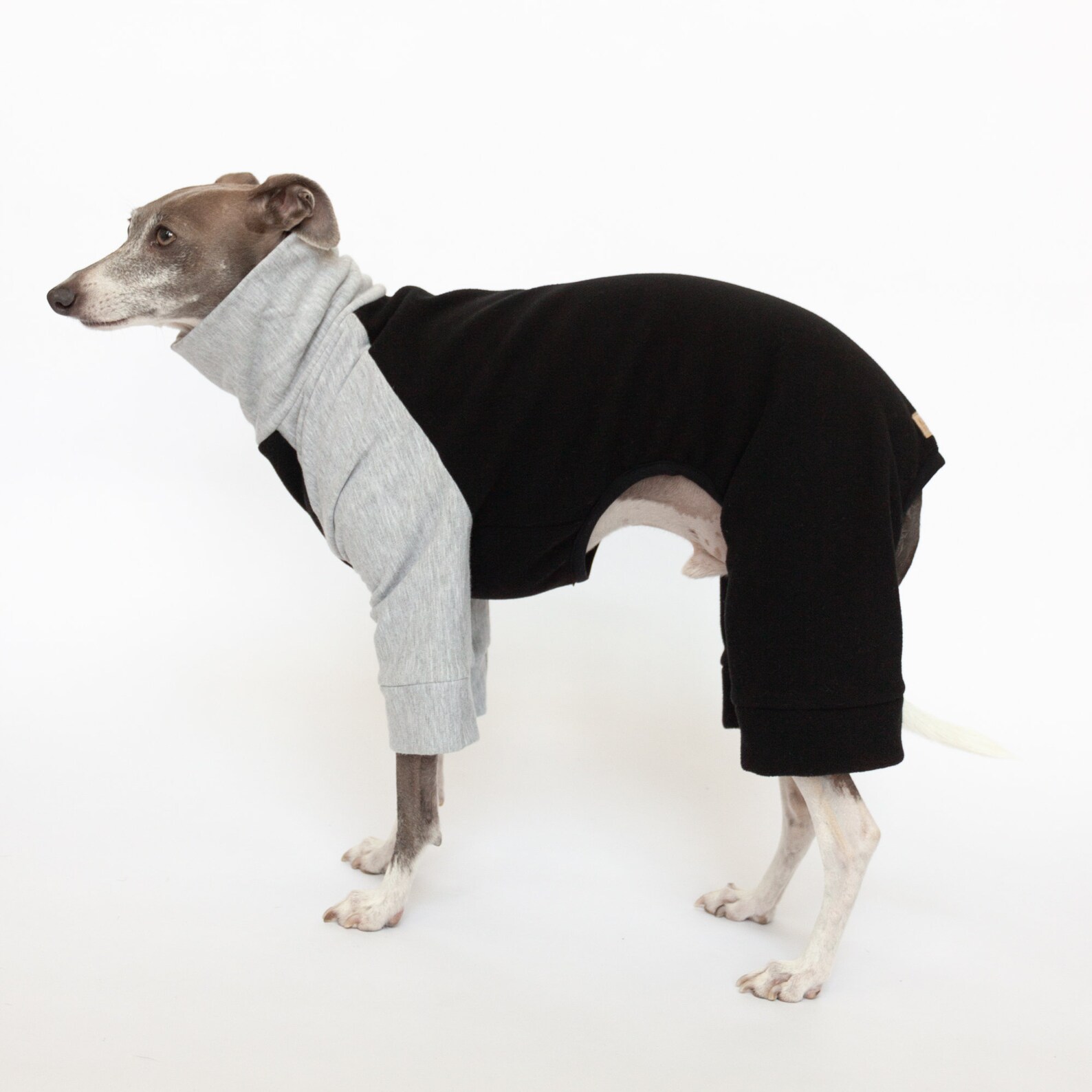 Rescued & Loved - Dog Pajama with Black Neck & Trim/Sleeves