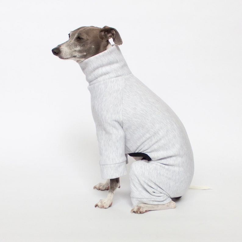 Tracksuit Dog Pajamas Light Grey Greyhound Whippet Etsy