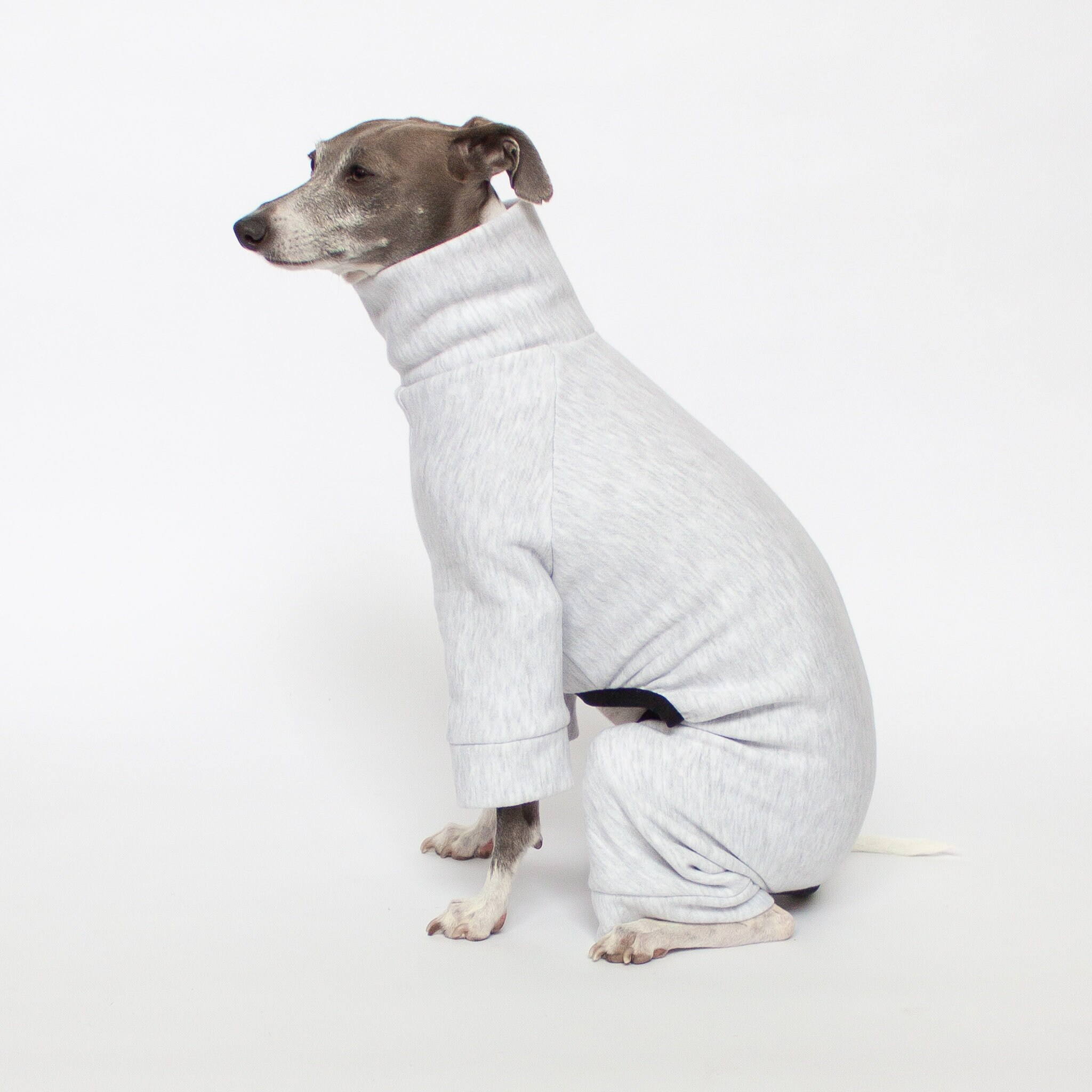 Dog Tracksuit Etsy Canada
