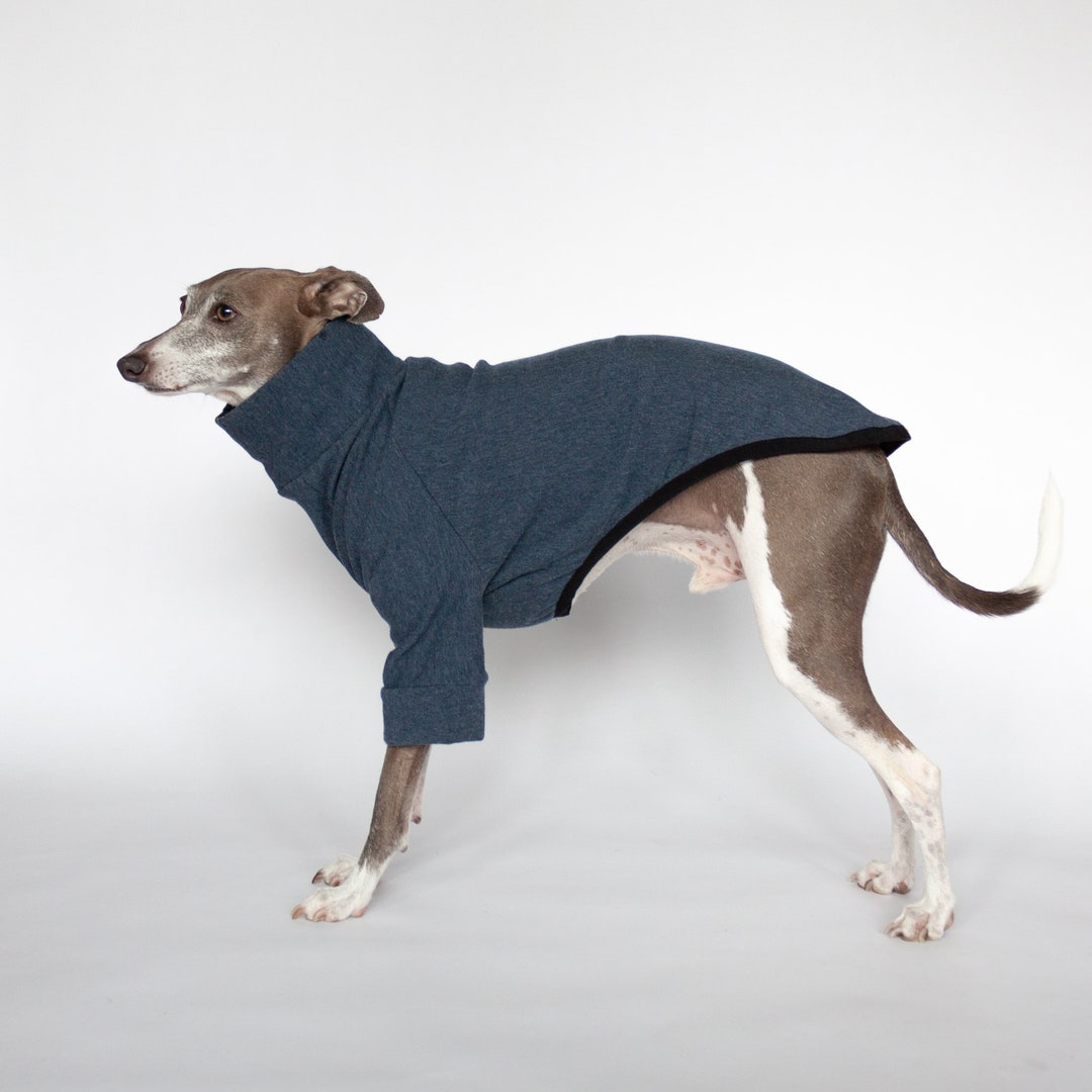 Long Sleeve Dog Sweater Heathered Blue Greyhound Whippet - Etsy