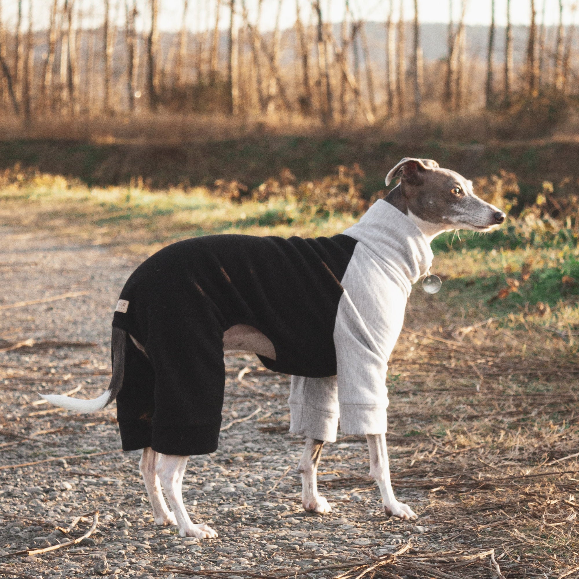 Fleece Dog Pajamas - Black & Grey Organic Cotton | Greyhound, Whippet, Pitbull, Chihuahua +