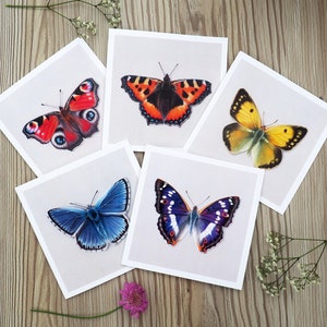 Lot de 5 cartes de voeux papillon