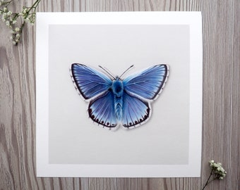 Blauer Schmetterling Kunstdruck