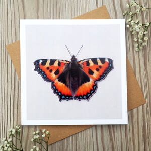 Small Tortoiseshell Butterfly Greeting Card