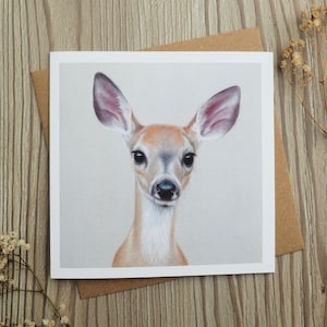 Fawn Deer Greeting Card