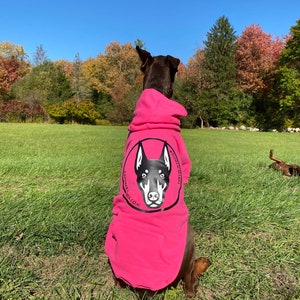 Logo Dog Hoodie in Pink