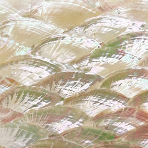 Pode incluir: Close-up de uma superfície texturizada e iridescente feita de peças de concha de madrepérola branca sobrepostas.