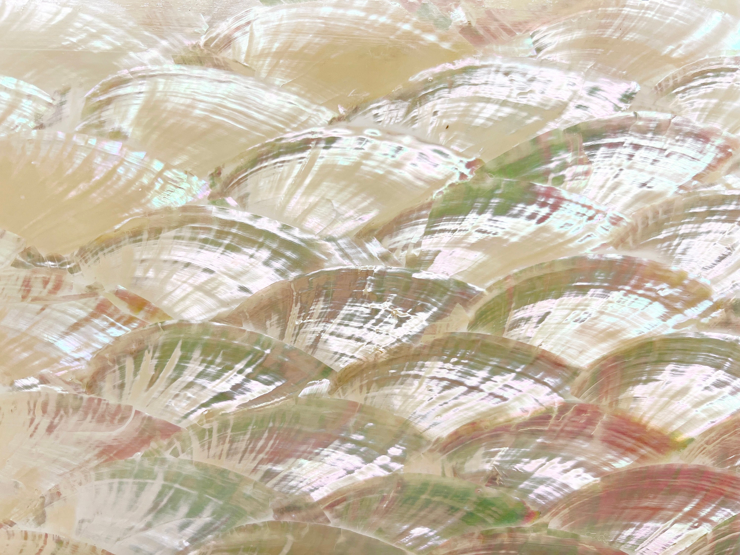17 Coquilles De Capiz Naturelles Non Polies - Pour Arts Créatifs Et DIY