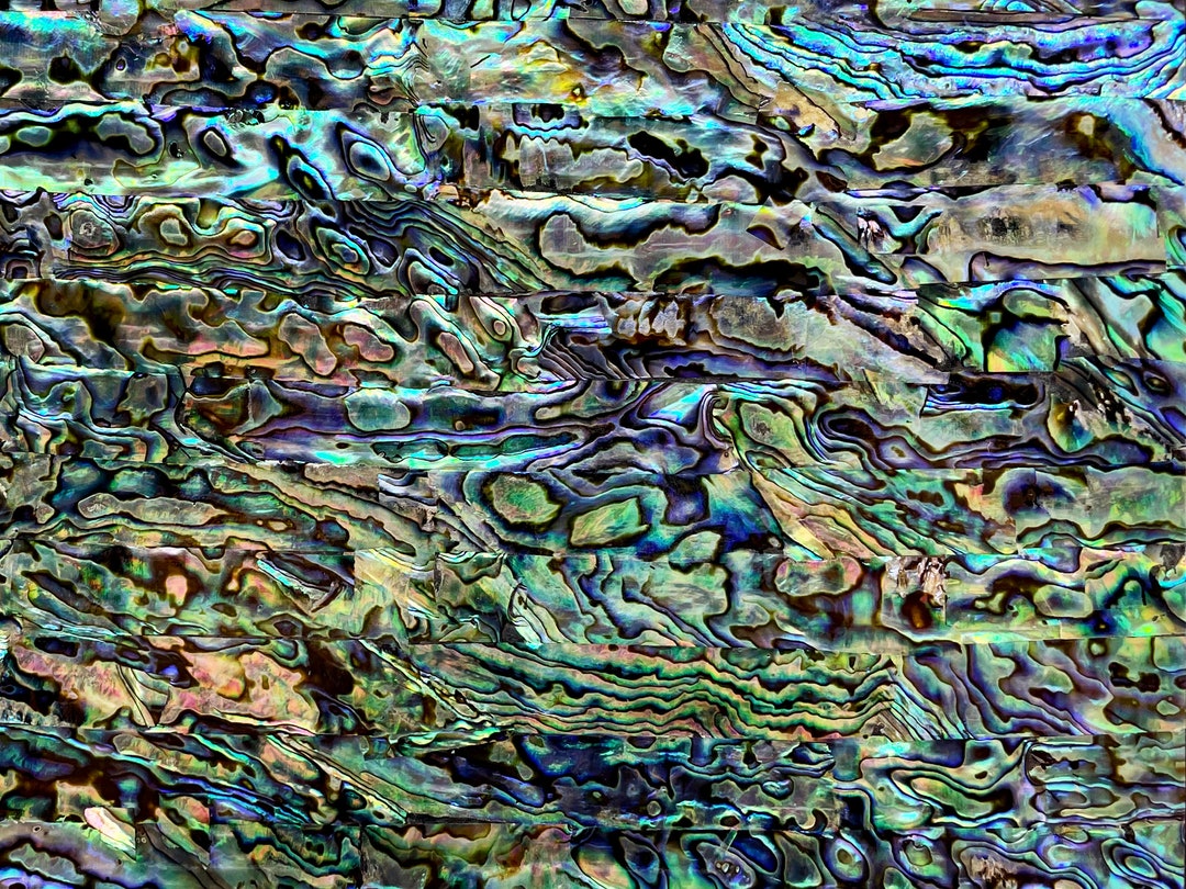 Acrylic-enhanced/enriched Natural New Zealand Abalone Upcycled-shell ...