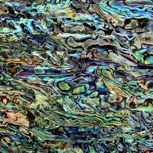 Mit Acrylfarbe veredeltes Naturmaterial Neuseeland Abalone Upcycled-Muschel Blatt, 240 mm x 140 mm - Emerald Seas