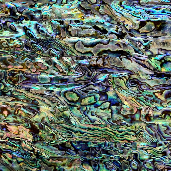 Acrylic-Enhanced/Enriched Natural New Zealand Abalone Upcycled-Shell Sheet, 9 1/2" x 5 1/2" (240mm x 140mm) - Emerald Seas