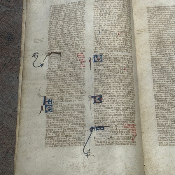 13th Century Illuminated Medieval Law Manuscript on Vellum - ORIGINAL