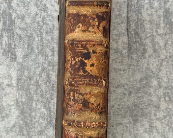 Sällsynt Froben-tryckt bibel från 1538 med karolinskt minuskulmanuskriptfragment