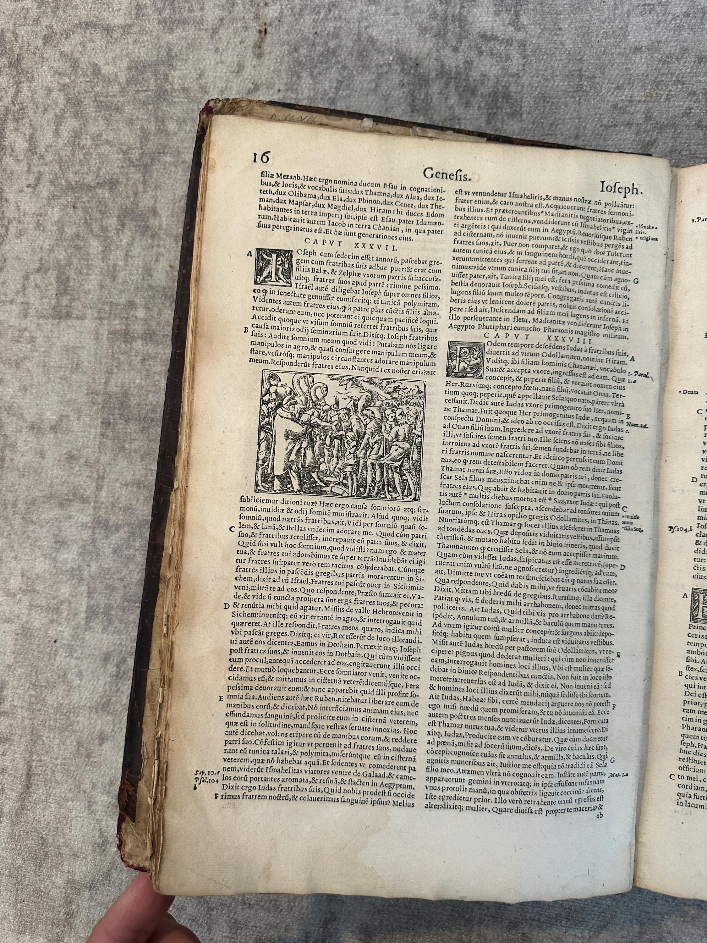 Rare Renaissance Bible in Latin, Published by the Heirs of Jacques ...