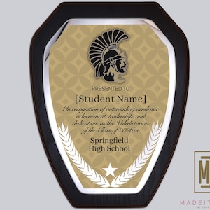 Placa de orador da turma, presente de formatura, prêmio acadêmico, placa de formatura, presente de orador da turma, prêmio de aluno de honra, prêmio escolar personalizado