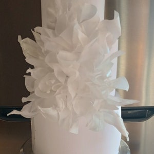 53 PC Wafer Paper Sail Decorations! -  Wedding Cake Decorations - Dramatic water splash Design  - White