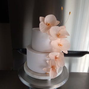 Puede incluir: Pastel de boda blanco de dos niveles decorado con flores de orqu&iacute;dea de color melocot&oacute;n en cascada.