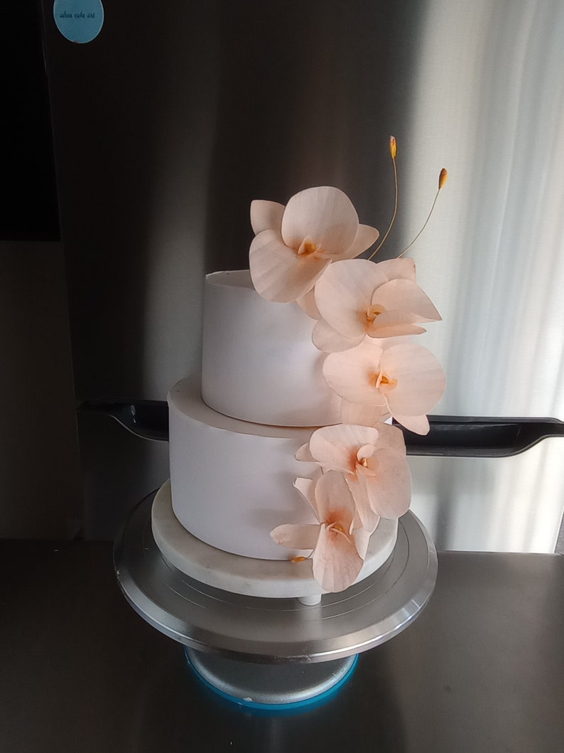 Puede incluir: Pastel de boda blanco de dos niveles decorado con flores de orqu&iacute;dea de color melocot&oacute;n en cascada.