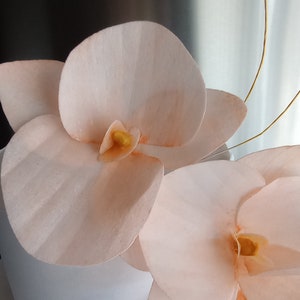 Puede incluir: Primer plano de un pastel blanco decorado con tres delicadas flores de orqu&iacute;dea de color melocot&oacute;n. Las flores tienen un centro amarillo y est&aacute;n dispuestas en un racimo en la parte superior del pastel.