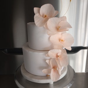12 Wafer Paper Orchids! -  Wedding Cake Flowers - Rustic & Elegant Peach Luxury