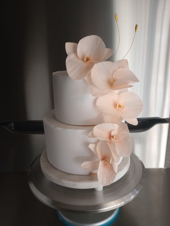 12 Wafer Paper Orchids! -  Wedding Cake Flowers - Rustic & Elegant Peach Luxury