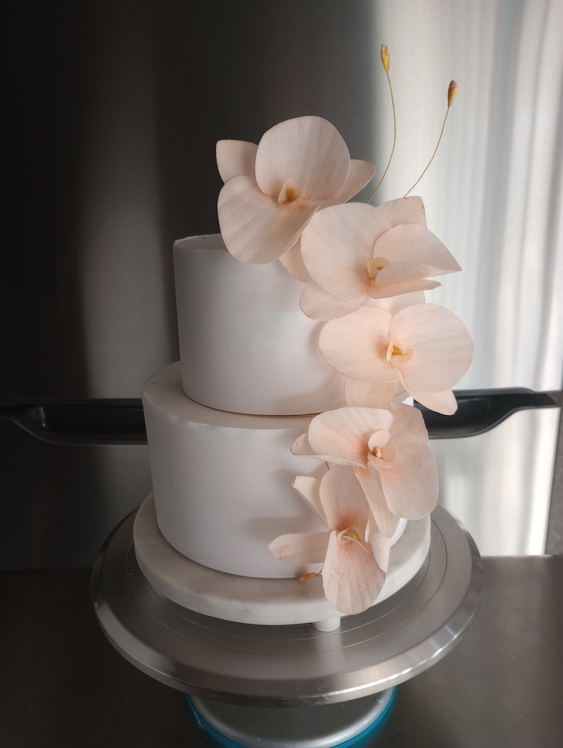 Puede incluir: Un pastel de boda blanco de dos niveles decorado con delicadas flores de orqu&iacute;dea de color melocot&oacute;n en cascada.