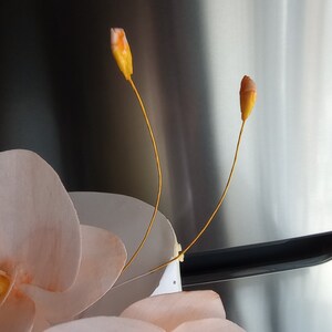 Puede incluir: Dos delicadas flores de orqu&iacute;dea rosa p&aacute;lido con tallos amarillos. Las orqu&iacute;deas est&aacute;n dispuestas en un jarr&oacute;n, con los tallos extendi&eacute;ndose hacia arriba.