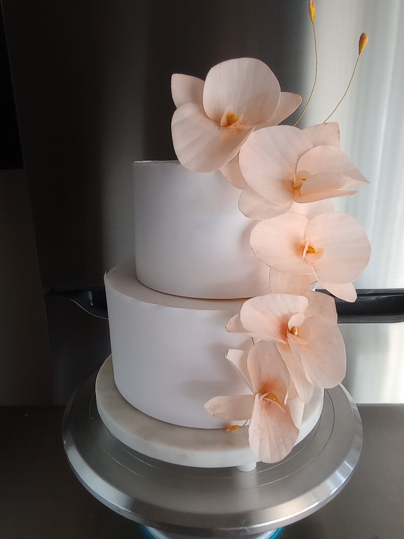 Puede incluir: Un pastel de boda blanco de dos niveles decorado con delicadas flores de orqu&iacute;dea de color melocot&oacute;n.