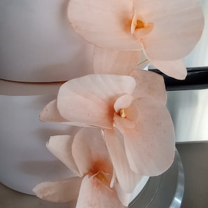 Puede incluir: Un pastel blanco decorado con delicadas flores de orqu&iacute;dea de color melocot&oacute;n. Las flores est&aacute;n dispuestas en cascada por el lado del pastel.