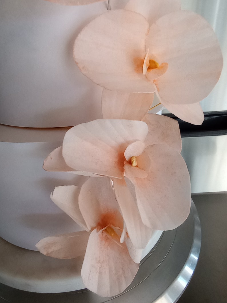 Puede incluir: Un pastel blanco decorado con delicadas flores de orqu&iacute;dea de color melocot&oacute;n. Las flores est&aacute;n dispuestas en cascada por el lado del pastel.