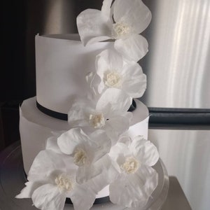 12 Wafer Paper Poppy Flowers Wedding Cake Flowers Wafer Paper Flowers Rustic Elegant Country Theme Wedding Cake Topper White Modern Cake