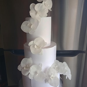 12 Wafer Paper Orchids! -  Wedding Cake Flowers - Rustic & Elegant All White Floating Effect- Wafer Paper Flowers Modern Wedding Cakes