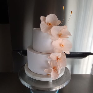 Puede incluir: Un pastel de boda blanco de dos niveles decorado con delicadas flores de orqu&iacute;dea de color melocot&oacute;n.