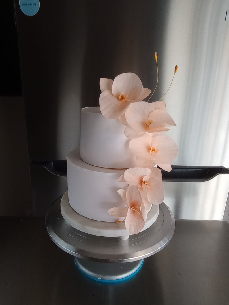 Puede incluir: Un pastel de boda blanco de dos niveles decorado con delicadas flores de orqu&iacute;dea de color melocot&oacute;n.