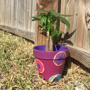 Terracotta Planter Pot, Planter with Drainage, Painted Terracotta Pot, Hand Painted Pot, Clay Pot, Ceramic Planter Pot