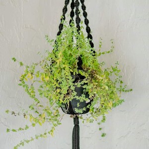 May include: A black macrame plant hanger with a long tassel hangs from the ceiling. A potted plant with green leaves is hanging in the macrame hanger.