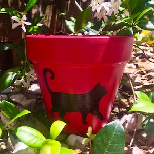 Terracotta Planter Pot, Planter with Drainage, Painted Terracotta Pot, Hand Painted Pot, Clay Pot, Ceramic Planter Pot