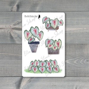 Caladium Plant Sticker Sheet Download, Botanical Drawings for Bullet Journal, Erin Condren or Happy Planners, Silhouette File included