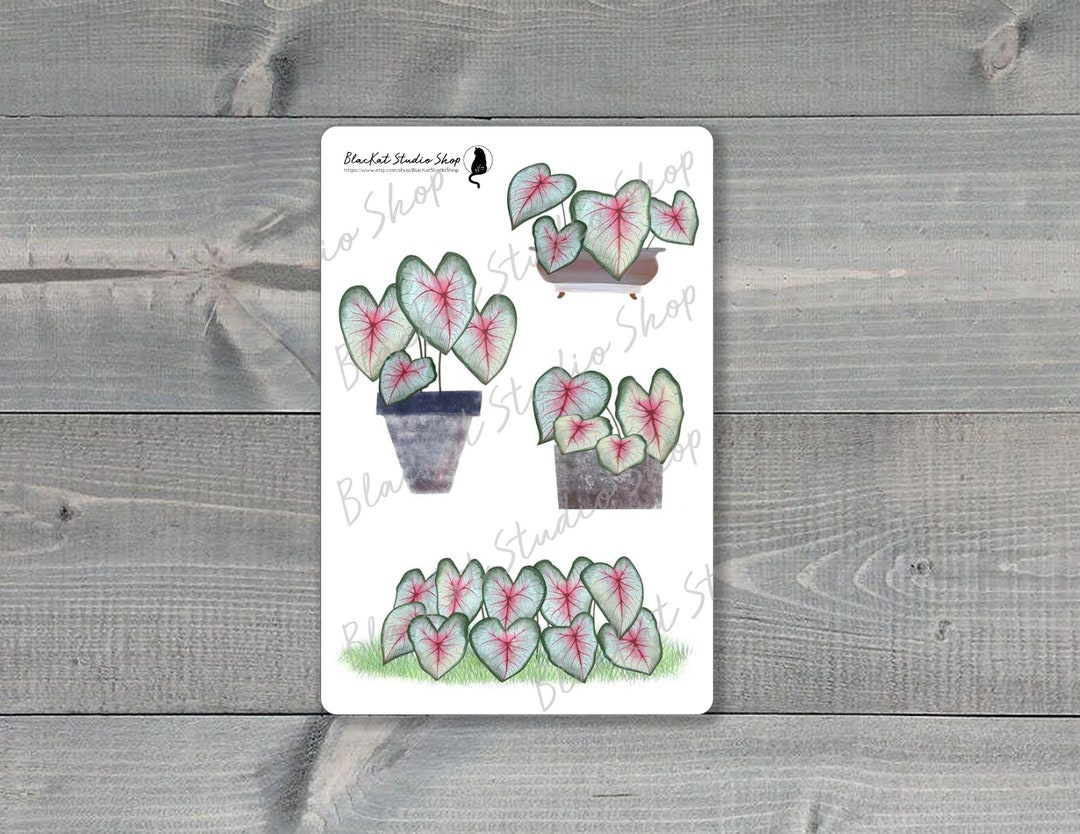 Caladium Plant Sticker Sheet Download, Botanical Drawings for Bullet ...