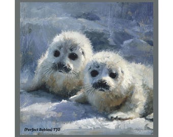 出産中の氷流にいるタテゴトアザラシの赤ちゃん、かわいい赤ちゃん